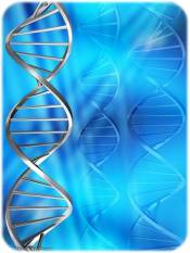 DNA